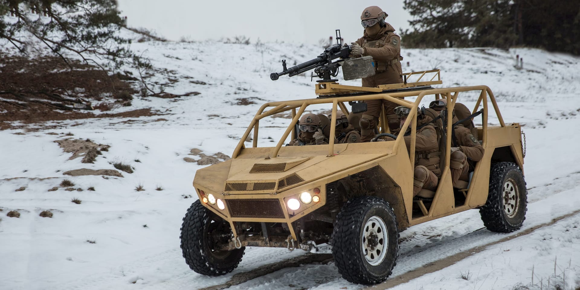 Полк азов, батальон азов