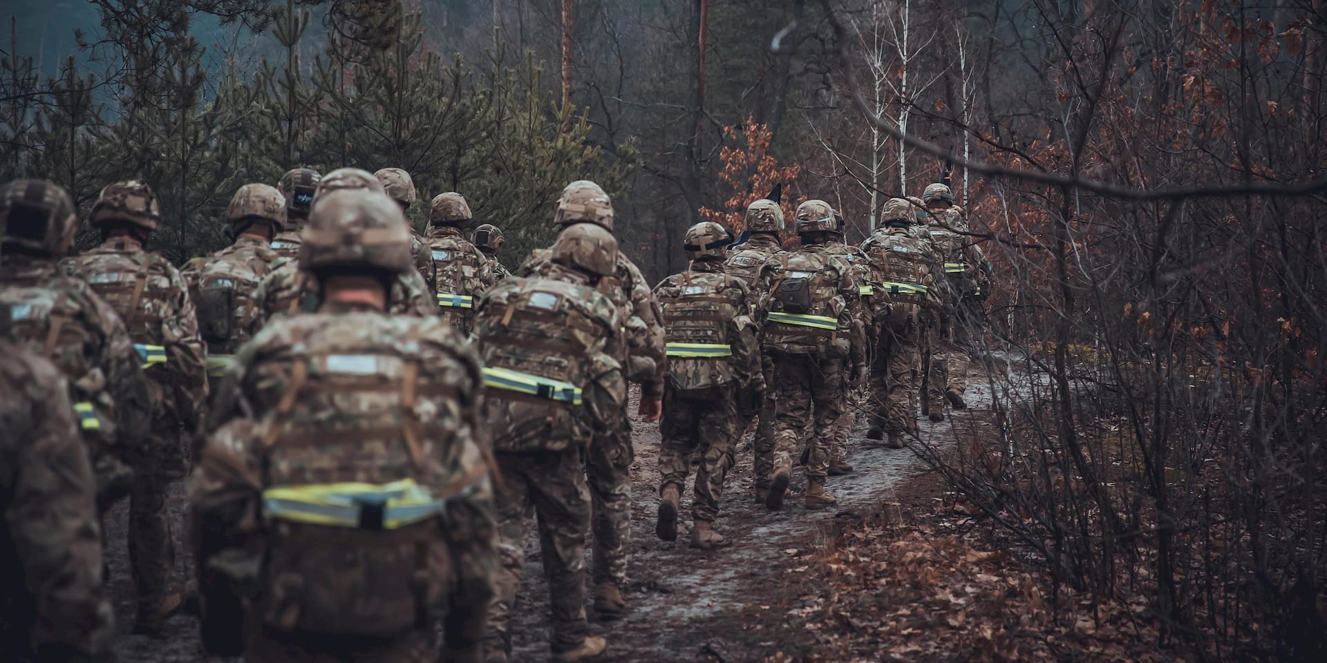 Полк азов, батальон азов